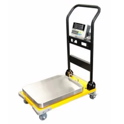 Portable Platform Scale